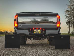 Step N Guard - Step N Guard Ford Dually Kit 2017 - Current, Super Duty - Image 4