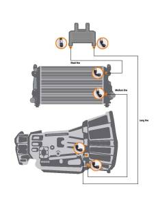 Fleece Performance - 2017-2019 L5P Duramax Transmission Cooler Line Set Fleece Performance - Image 2